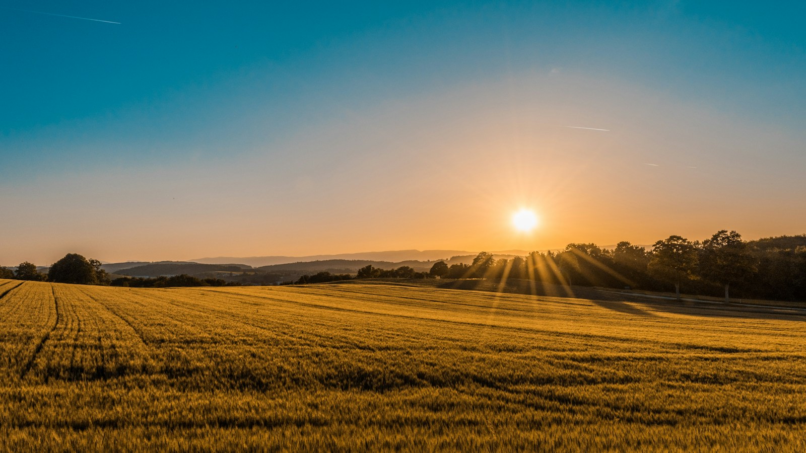 Green agricultural fields across a rural landscape